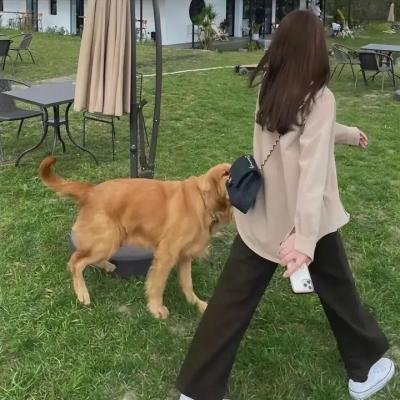 扑杀天使第二季
